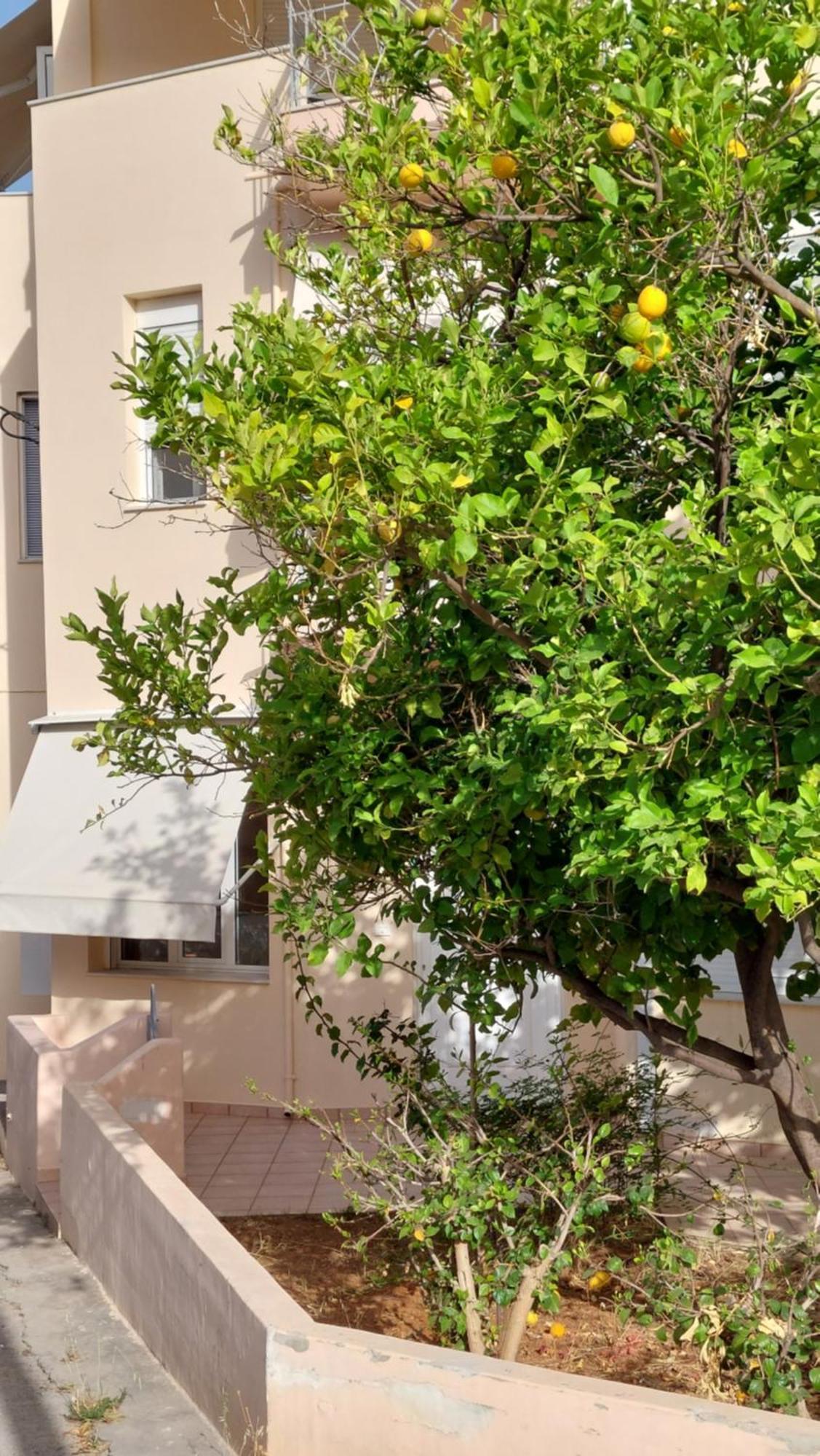 Sunbeam Retreat Villa Chania  Exterior photo
